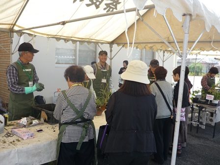 平城東山野草愛好会