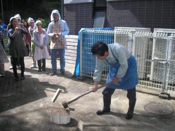 まき割りの様子