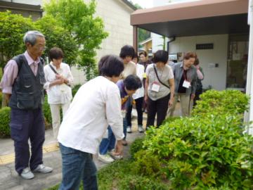 館外のハーブ花壇の見学