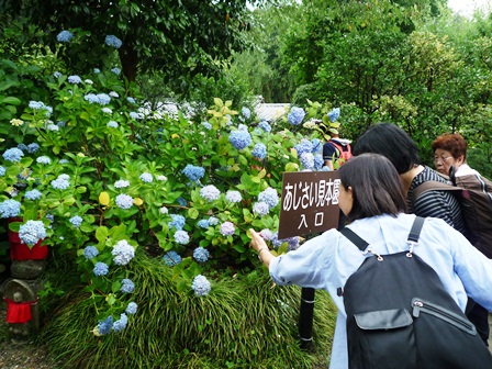 6月の様子（館外学習）