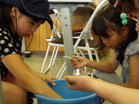 1_4・バケツの水で実験