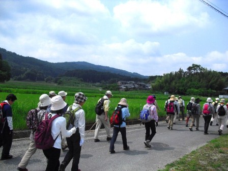 奥に見えるのが国見山です