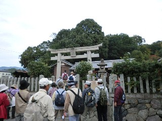 白山比咩神社写真