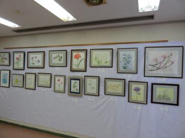 写真／作品展示