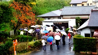 不成りの柿