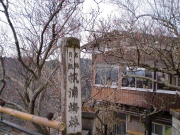 帆浦梅林
