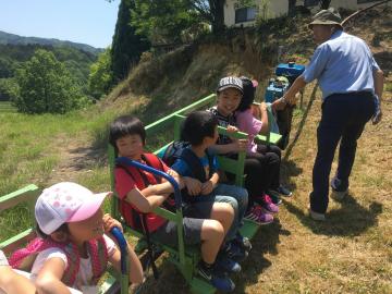 陶芸の見学