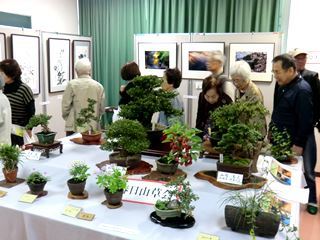 春日山草会