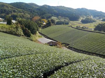 田原公民館 職員