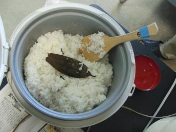 月桂樹とごはん