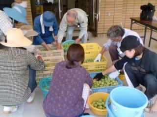 梅干し