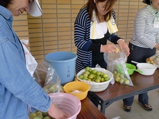 梅干し