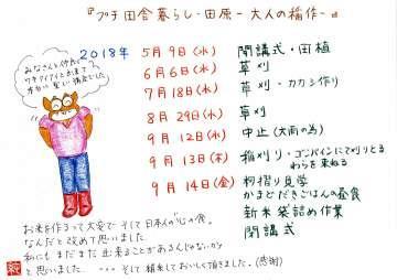 日程と内容