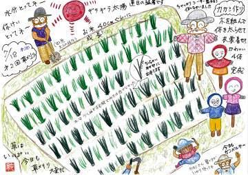 草刈りと案山子づくり