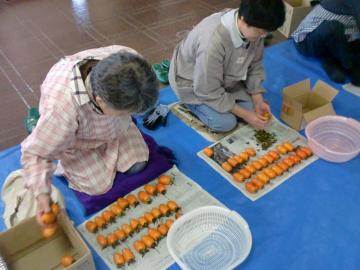 吊るし柿