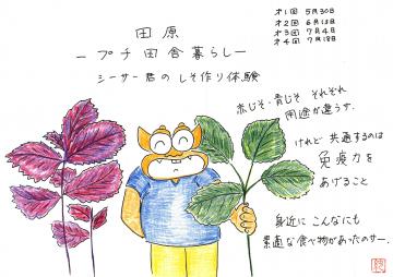 シーサー君の紙芝居(1)