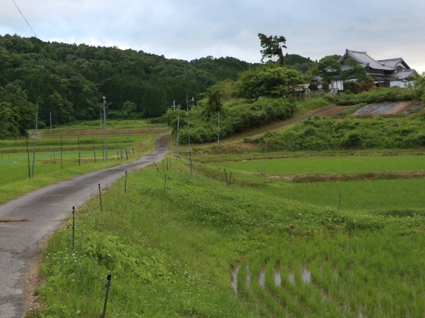 長力寺遠景