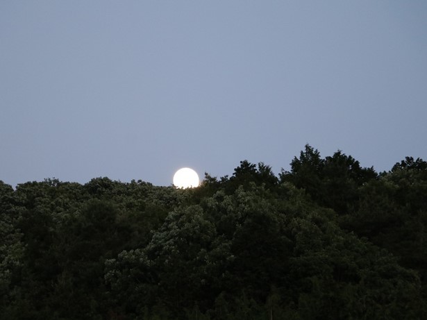 月