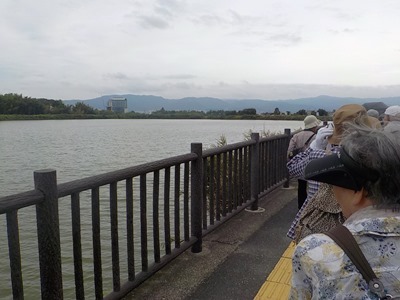 池の畔を歩く参加者