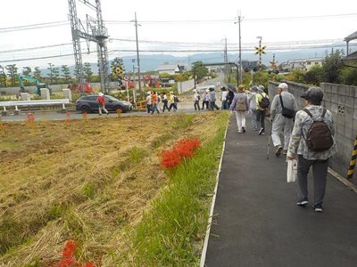 彼岸花とウォーキング参加者写真