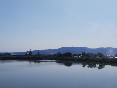 大池の写真