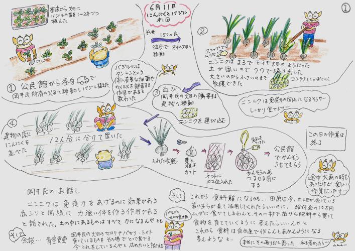 バジルソース作り(1)