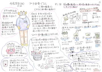 シーサー君の紙芝居(2)