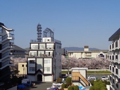 3階集会室から見える佐保川の桜