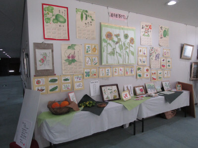 絵手紙の展示