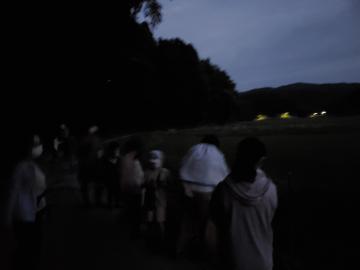 蛍を見に行く写真