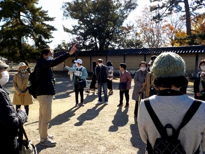 みんなで奈良公園を散策する様子