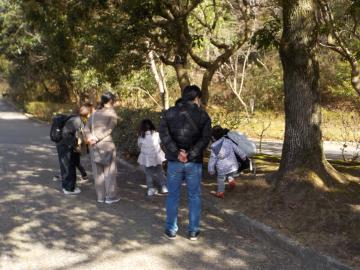 家族みんなで植物を観察する様子