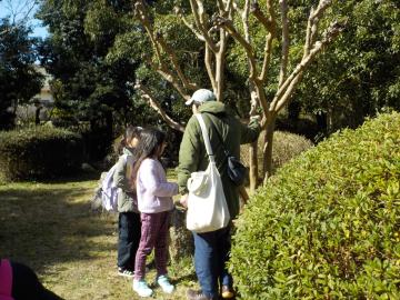 樹木について説明を受ける様子