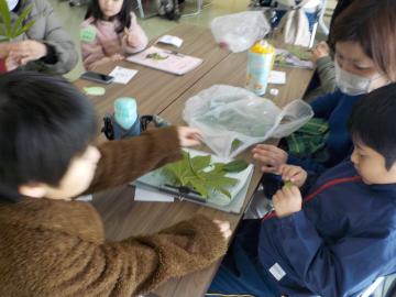 葉っぱじゃんけんをする様子