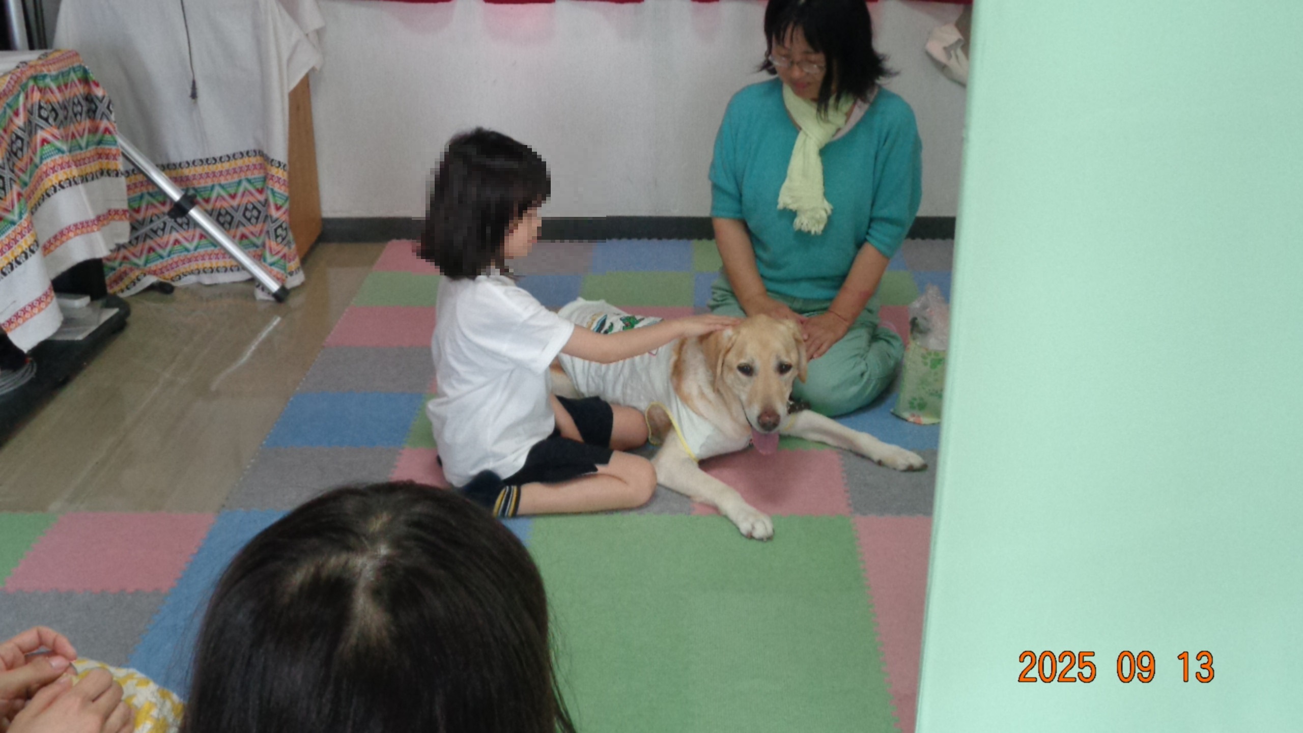 ワンちゃんとの出会い
